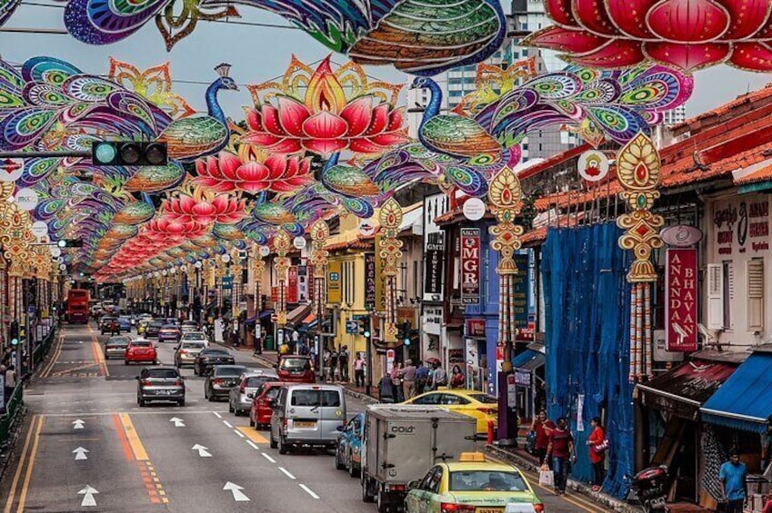 Singapore Little India Hidden Gems Walking Tour (Private & All-Inclusive)
