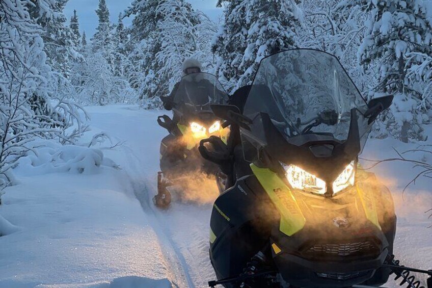 Guided Snowmobile Tour in Kiruna