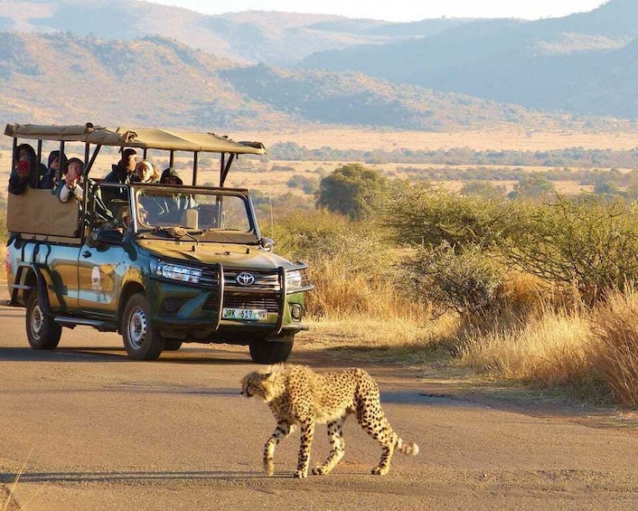 Picture 1 for Activity From Johannesburg: Pilanesberg National Park Safari