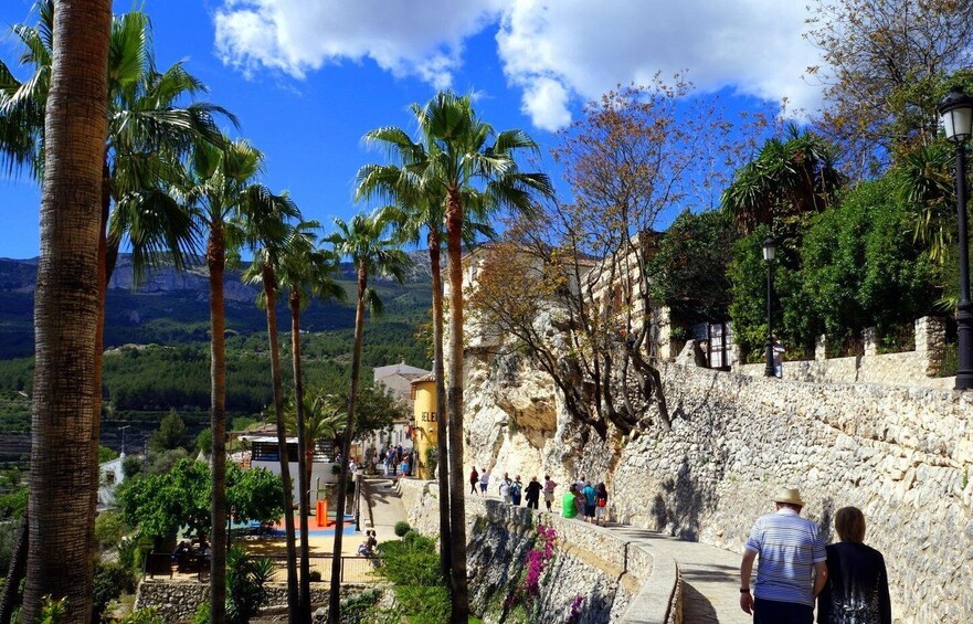 Picture 1 for Activity From Albir, Altea, Benidorm & Calpe: Guadalest & Algar Tour