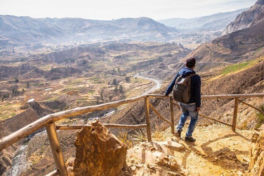 Full Day Tour to the Colca Canyon