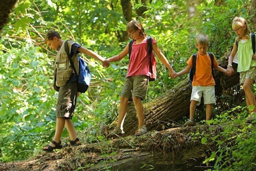 7 Days Garden Route Private Tour - Durban To Cape Town