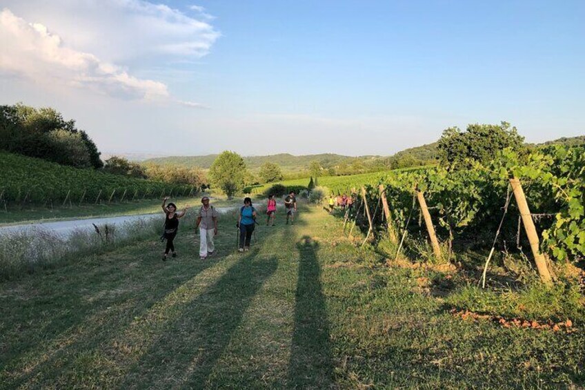 Montepulciano vineyards hike and taste