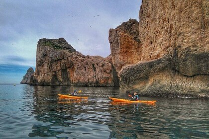 Eco-kayak in the Medes Islands