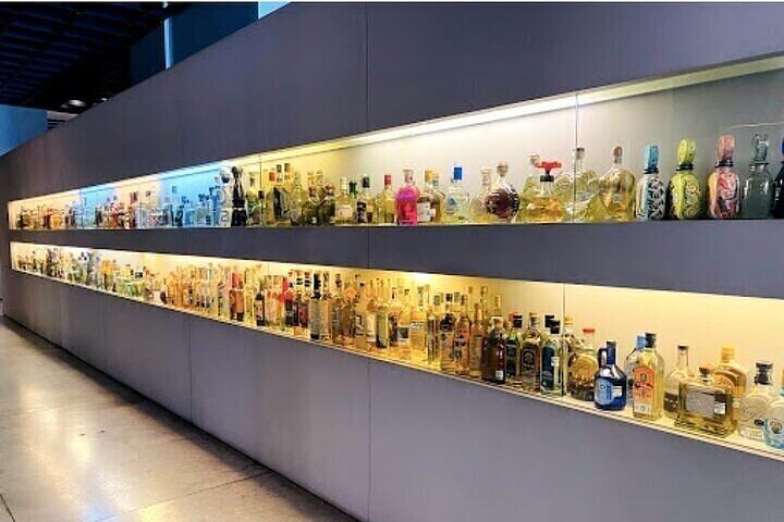 Guided Tour to the Tequila and Mezcal Museum