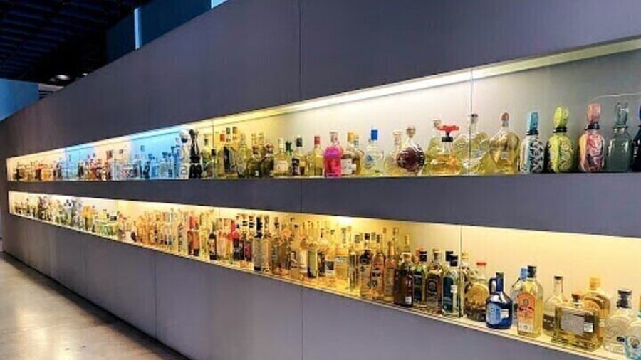 Guided Tour to the Tequila and Mezcal Museum