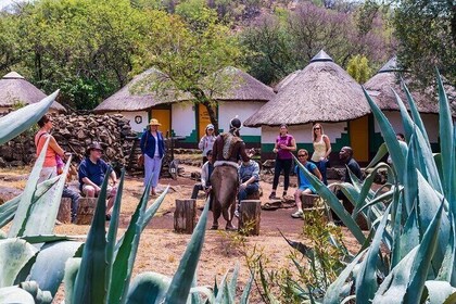 Lesedi Cultural Village Private Tour with Lunch in 5 hours