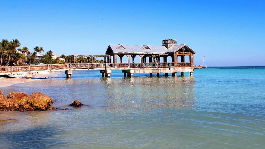 Full-Day Guided Key West Tour from Hollywood in Luxury Coach Bus