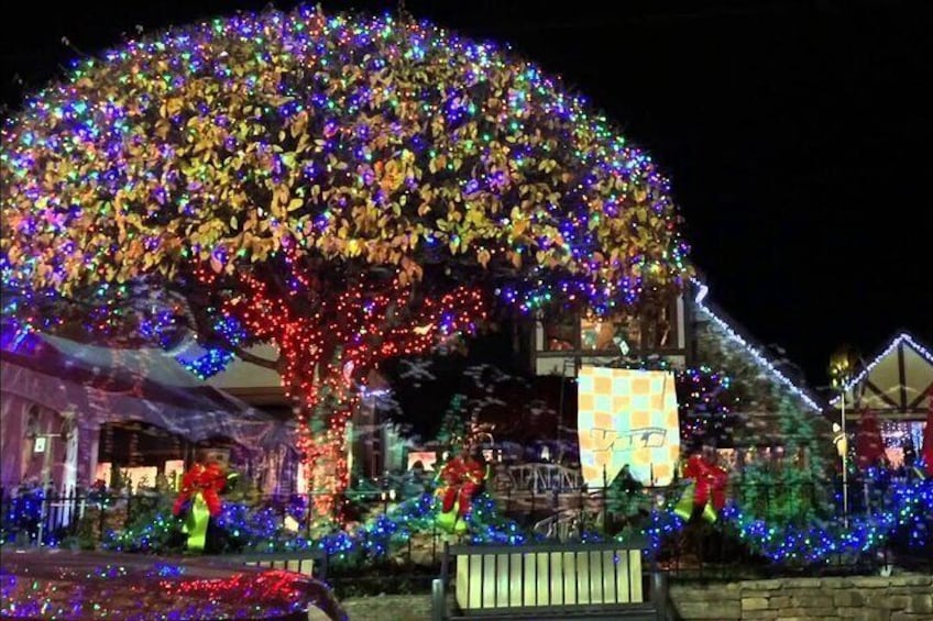 Smoky Mountains Christmas Lights Tour