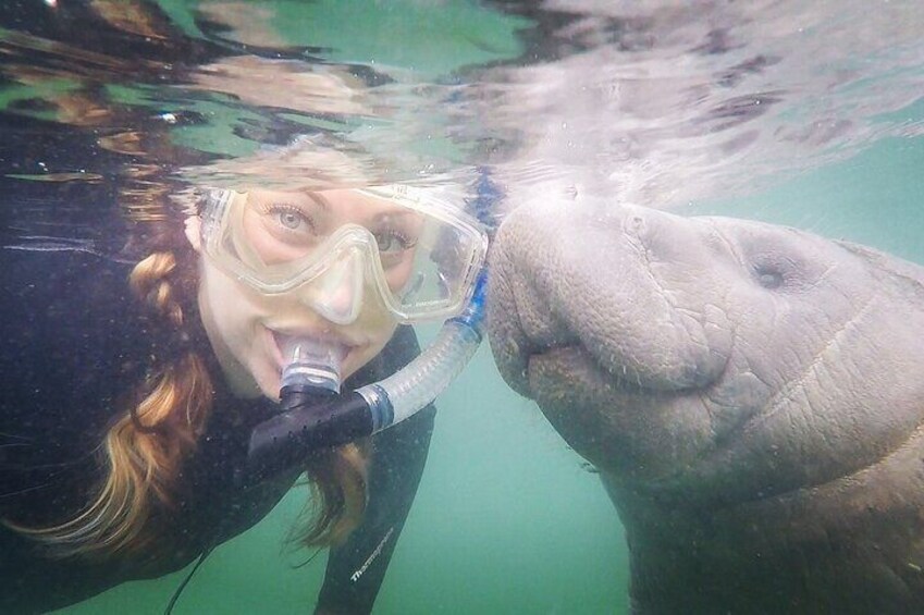 VIP Private Boat Manatee Snorkel Tour with In-Water Guide and Photograper