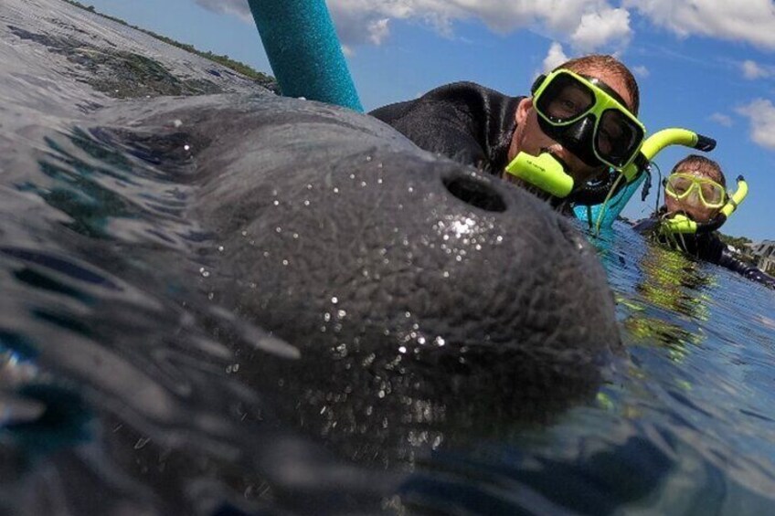 VIP Private Boat Manatee Snorkel Tour with In-Water Guide and Photograper