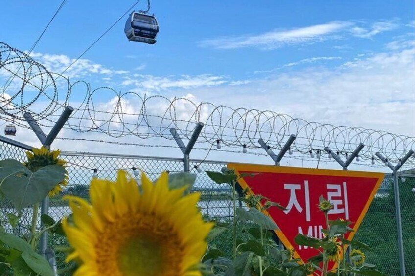 Cost-Benefit DMZ Shuttle Bus tour : Vehicle, Ticket, English Speaking Staff