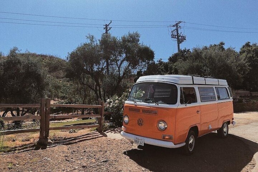 Vintage VW Hippie Shared Tour to Malibu with Wine Tasting