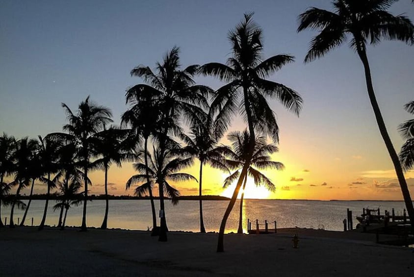 Key West from Miami with Snorkeling & Drinks & Hard Rock Cafe Meal