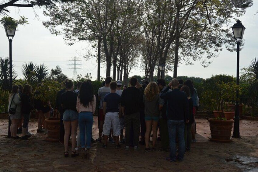 2-Hour Tour through the Stately Orchard with Orange Tasting