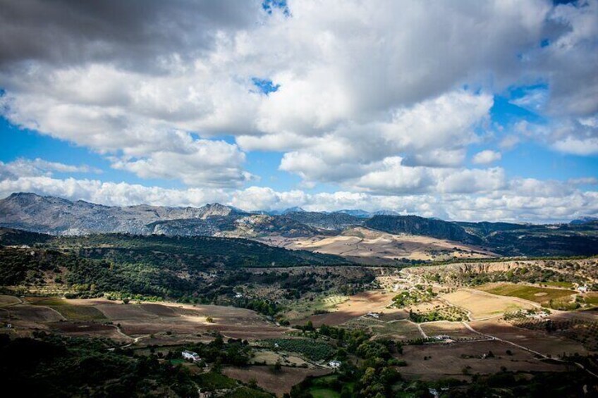 Half-Day Private Guided City Tour in Ronda