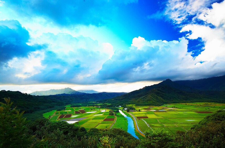 Kauai Movie Adventure Tour