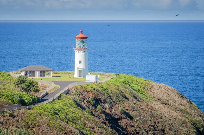 Kauai Movie Adventure Tour