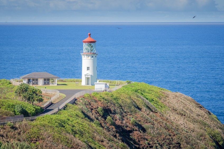 Kauai Movie Adventure Tour