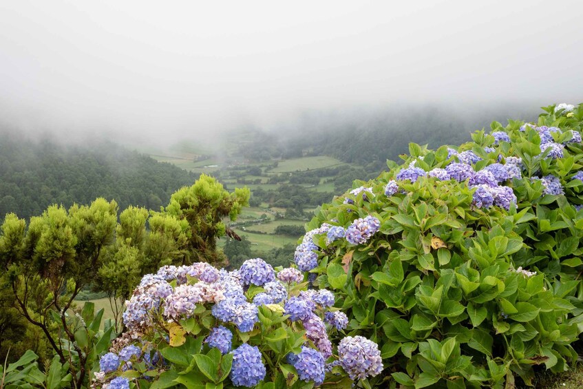 Picture 5 for Activity From Ponta Delgada: Vista do Rei to Sete Cidades Guided Trek