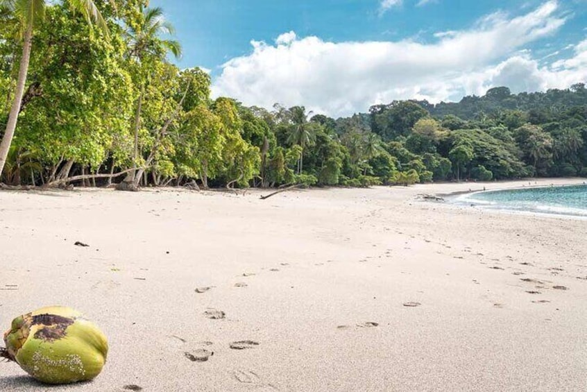 manuel antonio beach