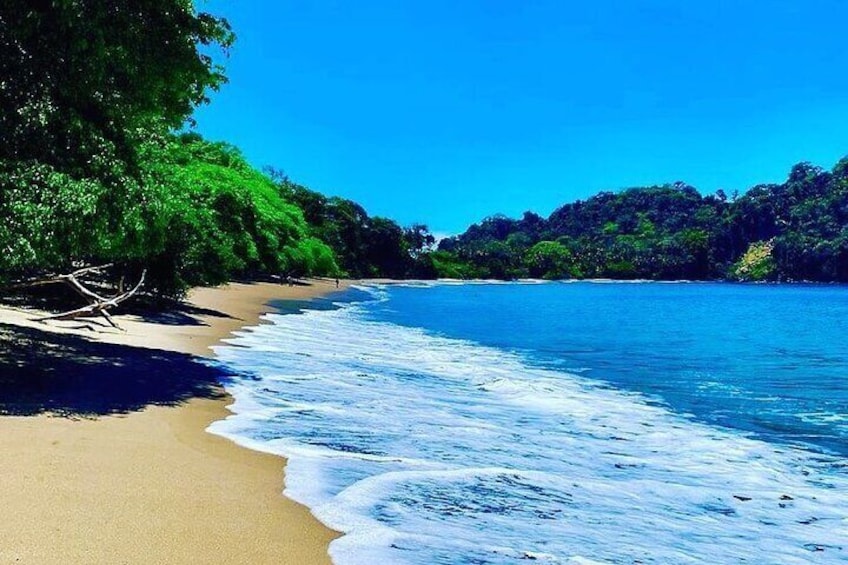 Forest + beach = perfect combination