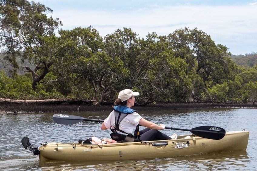 Bermagui River Kayak Tour