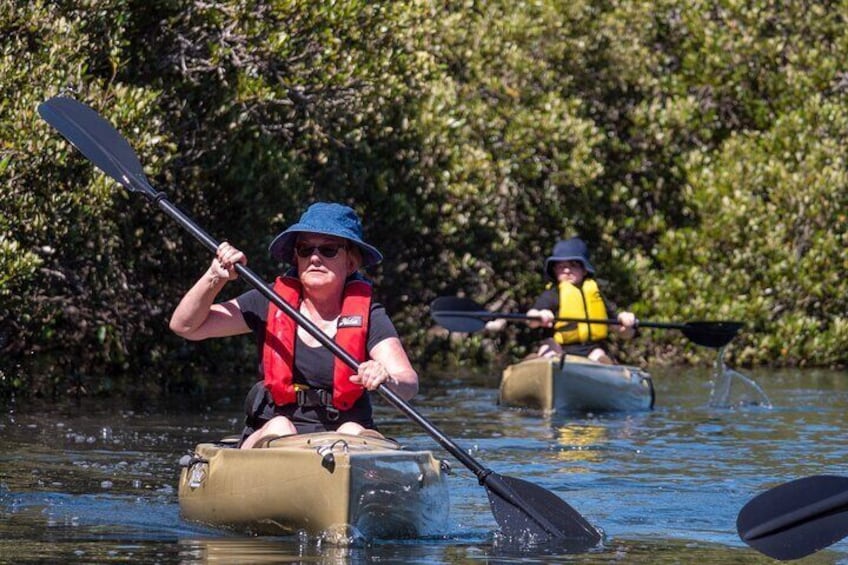 Bermagui River Kayak Tour