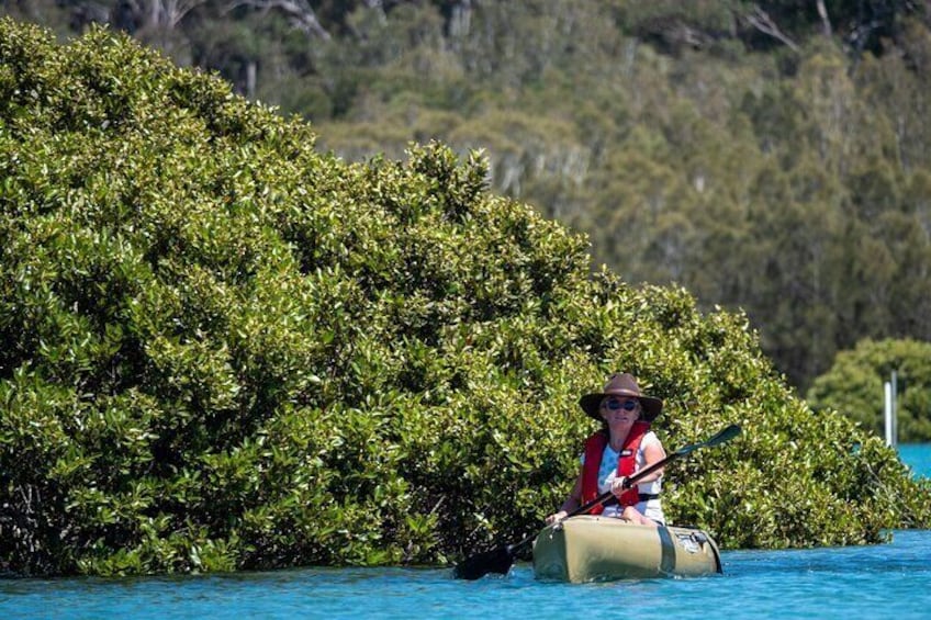 Bermagui River Kayak Tour