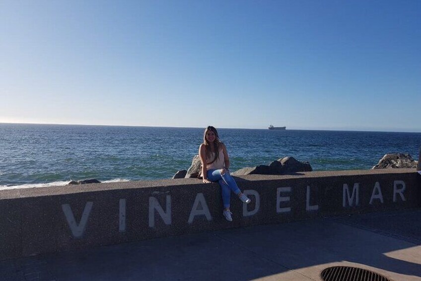 Viña del Mar and Valparaiso
