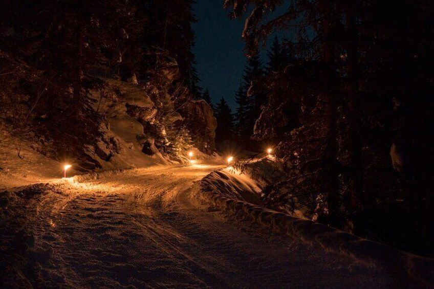 Night Sledding from Interlaken