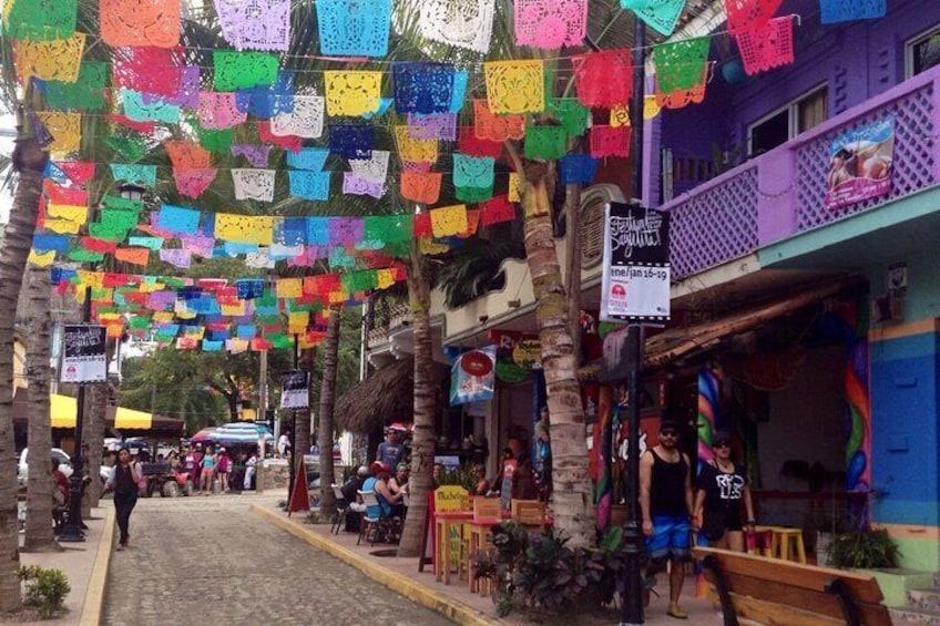 Full Day Private Tour to Sayulita and San Pancho