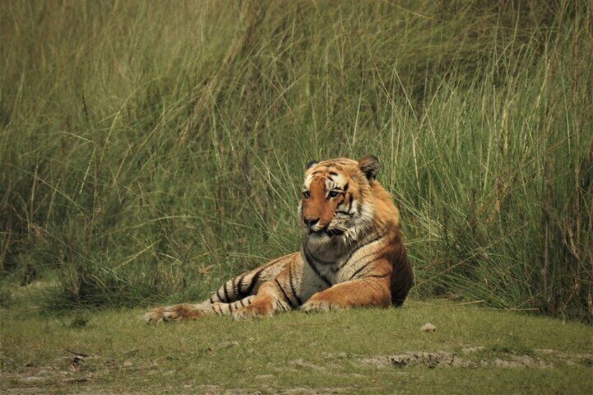 4-Day Bardia National Park Safari Guided Tour with Accommodation 