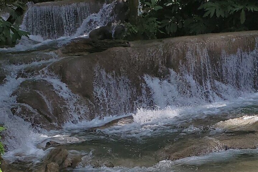 Zipline and Dunns River Combo in Ocho Rios