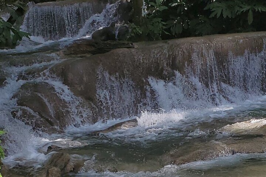 Zipline and Dunns River Combo in Ocho Rios