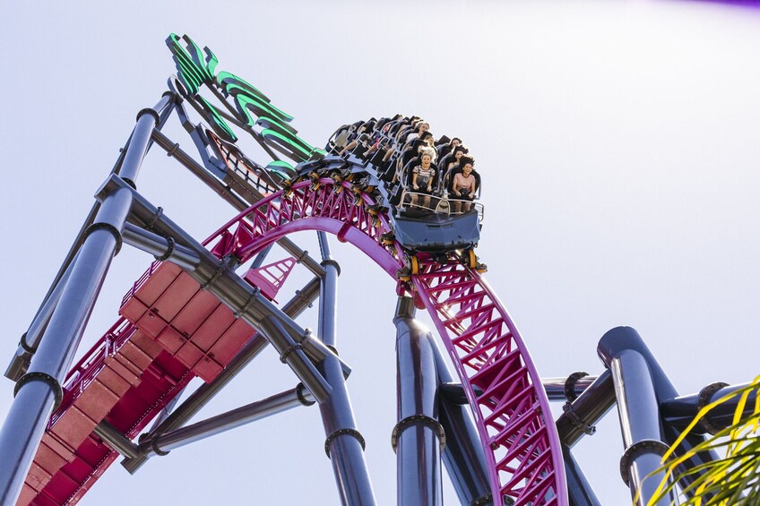 Charger l’élément 3 sur 10. 14 Day Mega Pass: Movie World, Sea World, Wet'n'Wild + More