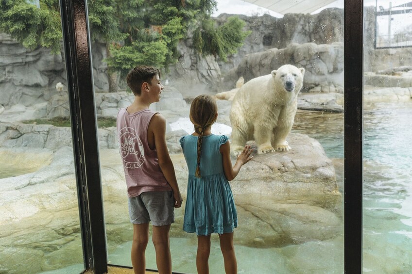 Charger l’élément 5 sur 10. 14 Day Mega Pass: Movie World, Sea World, Wet'n'Wild + More