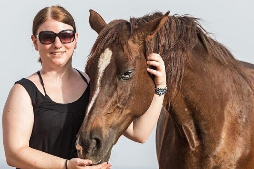 2 hours Horse Riding on The Sea and Desert- Hurghada