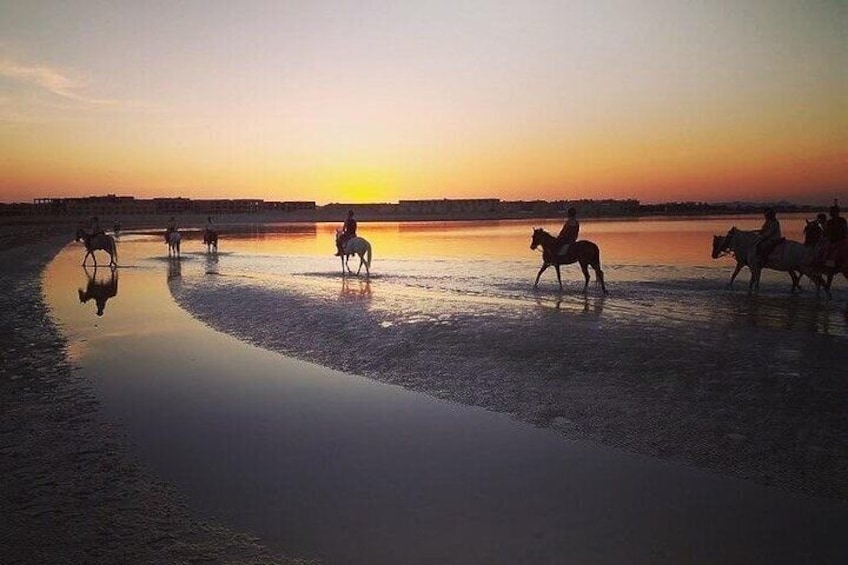 2 hours Horse Riding on The Sea and Desert- Hurghada