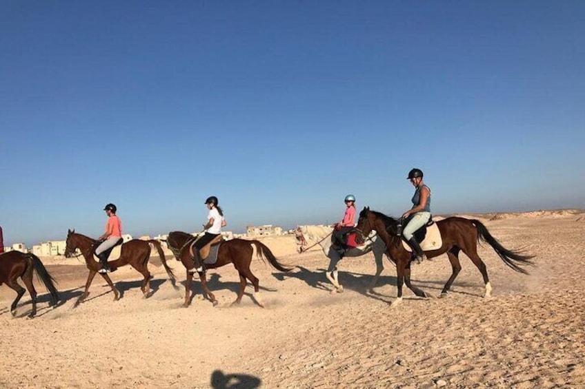 2 hours Horse Riding on The Sea and Desert- Hurghada