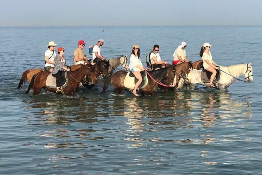 2 hours Horse Riding on The Sea and Desert- Hurghada