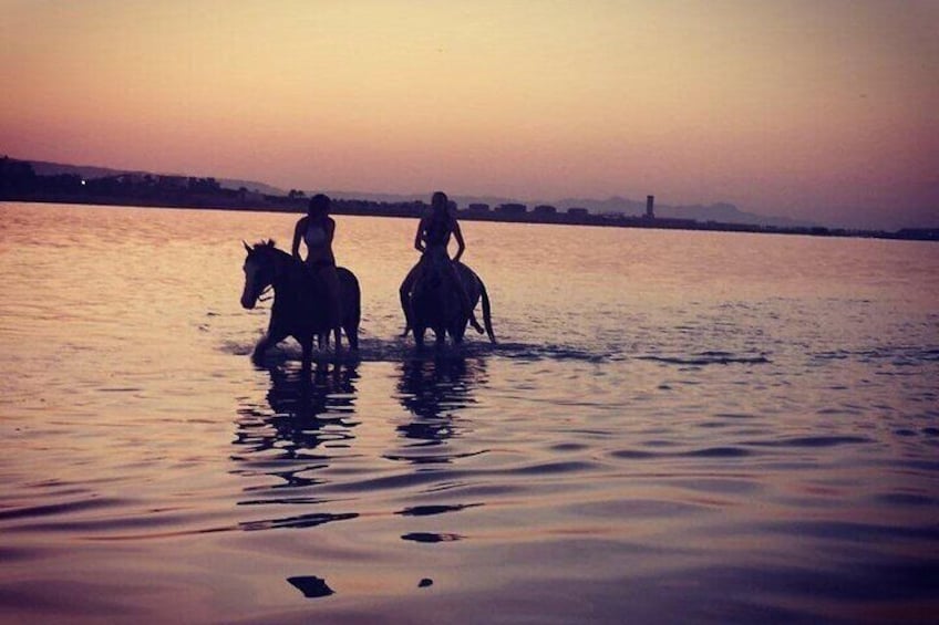 2 hours Horse Riding on The Sea and Desert- Hurghada