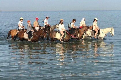 2 uur paardrijden op de zee en de woestijn - Hurghada