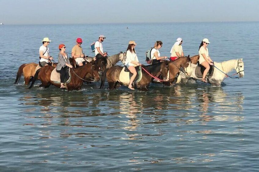 2 hours Horse Riding on The Sea and Desert- Hurghada