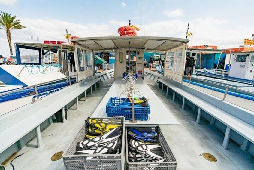 Eco-snorkeling in the Medes Islands