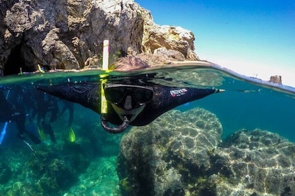 Eco-snorkeling in the Medes Islands
