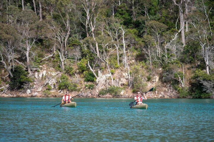 Informative Oyster Activity: Handling, Shucking & Storing + Kayaking