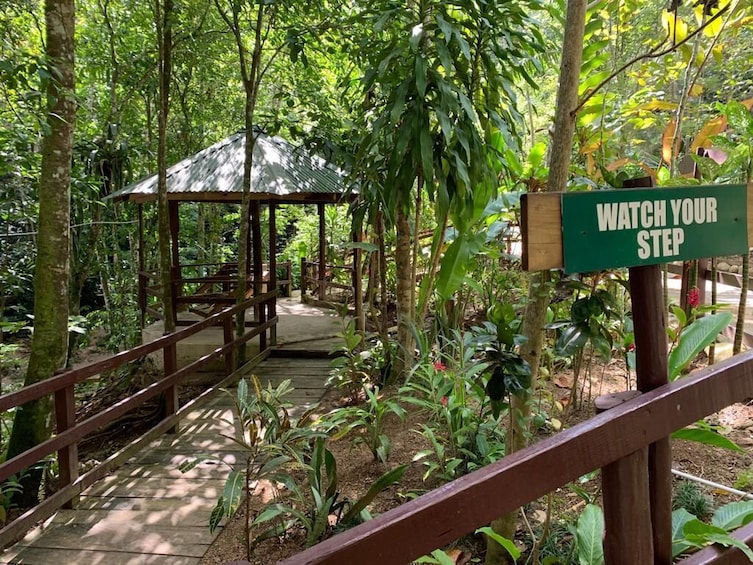 Blue Hole & Island Gully Waterfall Adventure with Lunch