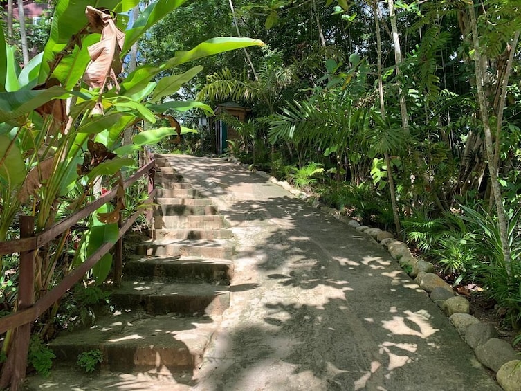 Blue Hole & Island Gully Waterfall Adventure with Lunch
