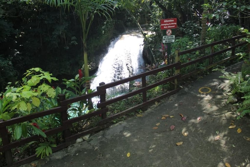 Blue Hole & Island Gully Waterfall Adventure with Lunch